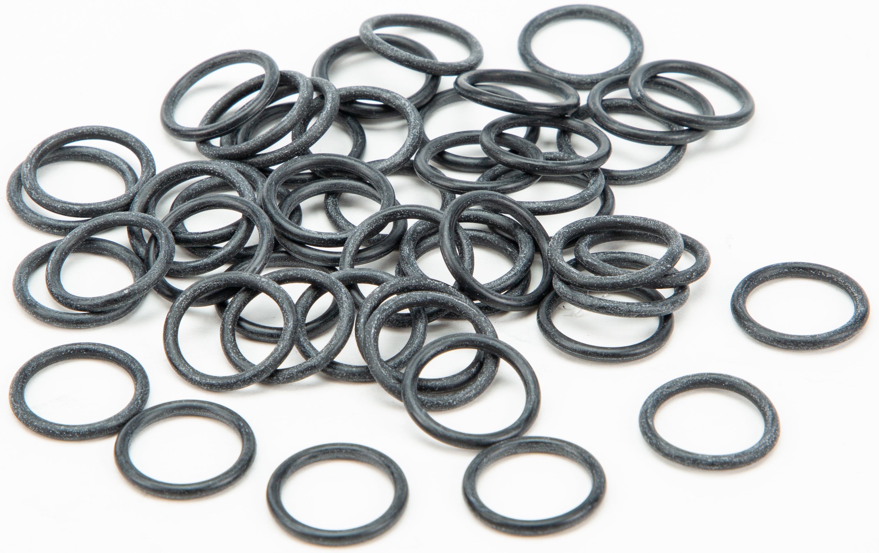 Evo O-Ring