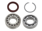 Jack Shaft Bearing/Seal Kit