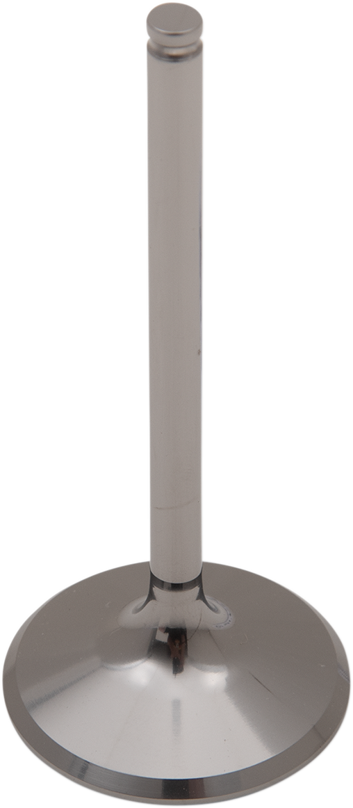 Titanium Engine Valve