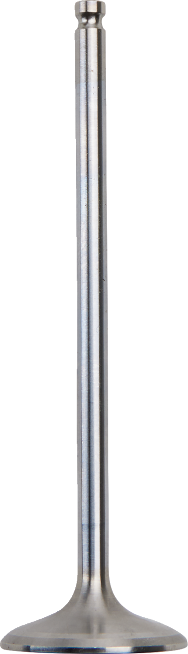 Intake Valve