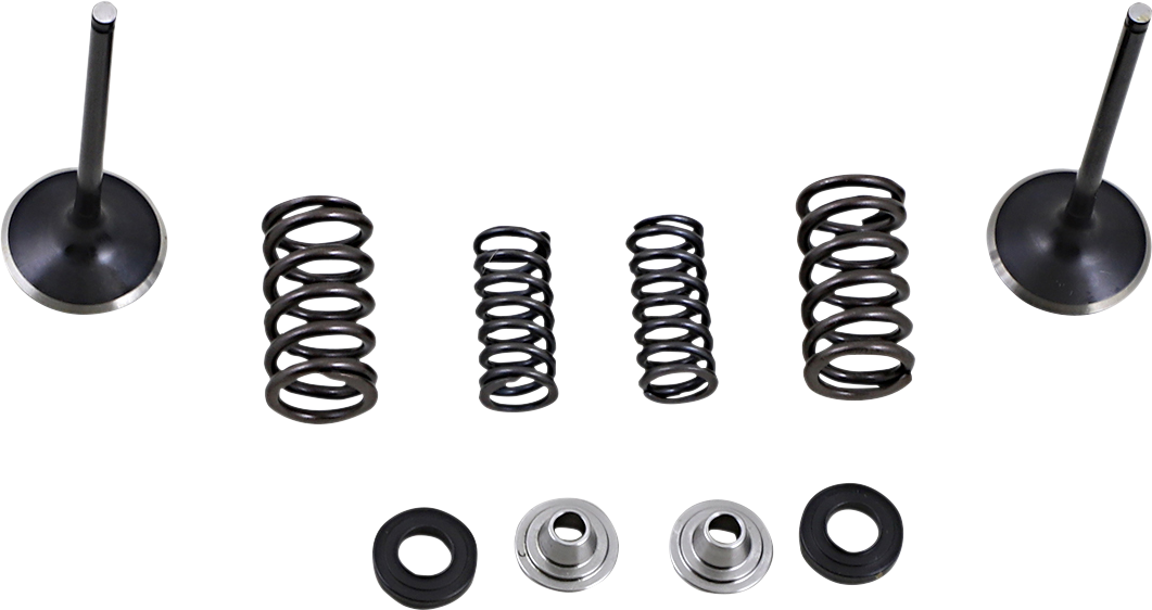Intake Valve and Spring Kit
