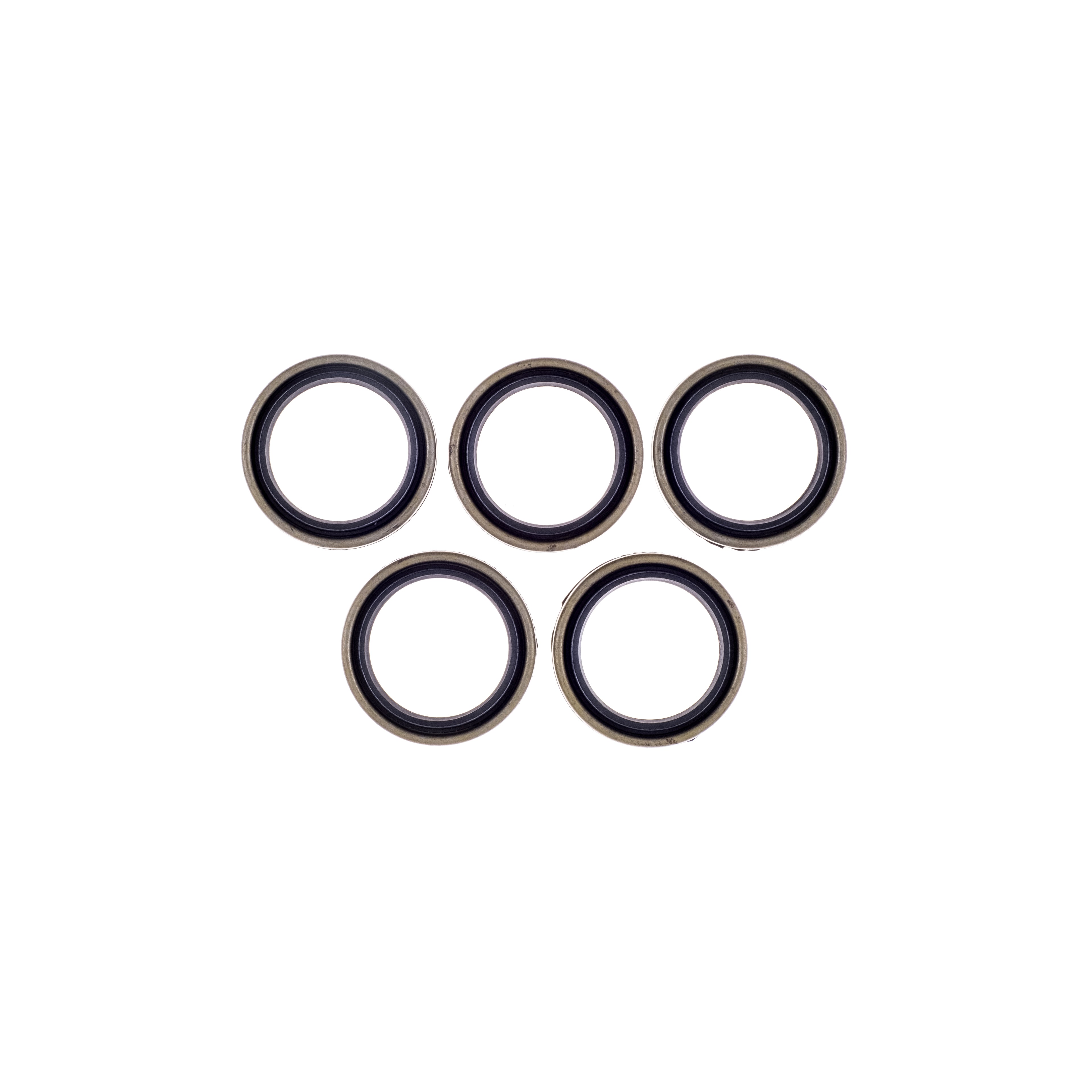 Evo Sportster Seal