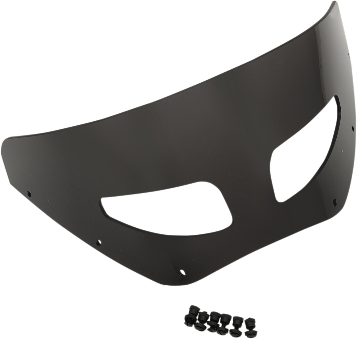 Road Warrior Windshield — Includes Vent