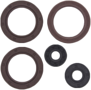 Engine Oil Seal Kit