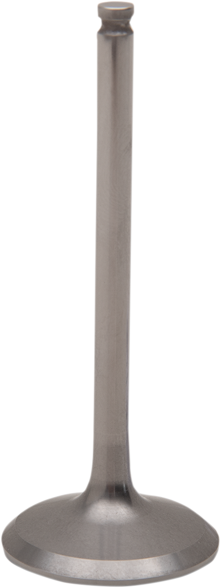 Titanium Engine Valve