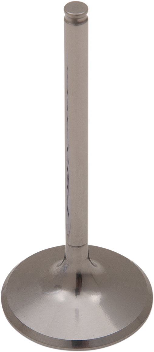 Titanium Engine Valve