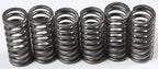 Redline Clutch Springs