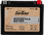 AGM Sealed Battery