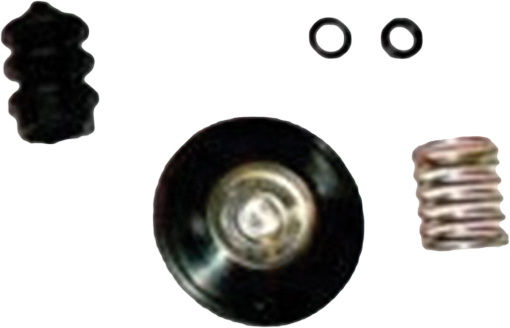 Accelerator Pump Rebuild Kit