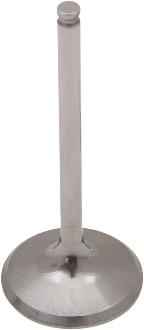 Titanium Engine Valve