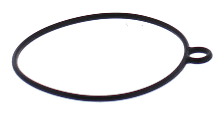 FLOAT BOWL GASKET ONLY