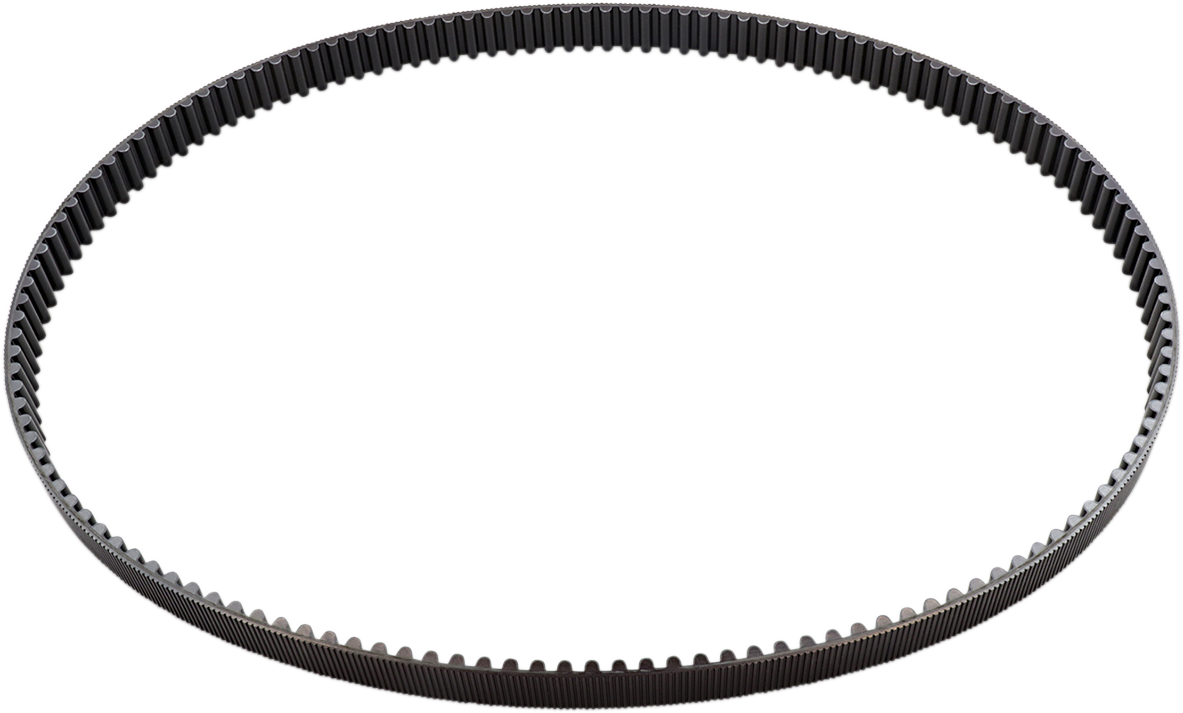 Rear Drive Belt