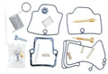 Carburetor Repair Kit