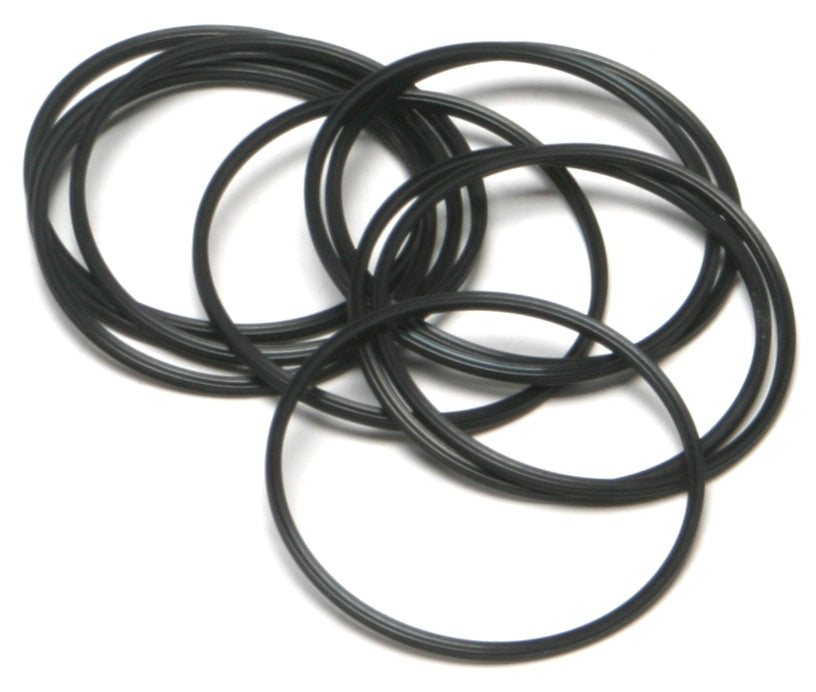 Evo Sportster Seal