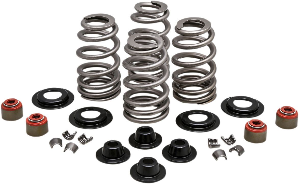 Beehive Valve™ Spring Kit