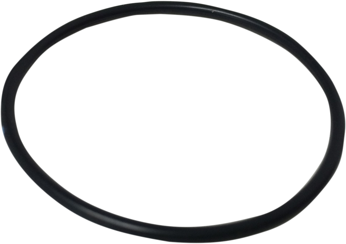 Rear Shock Piston O-Ring