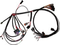 OEM Sportster Harness