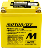 MotoBatt Quadflex AGM Batteries