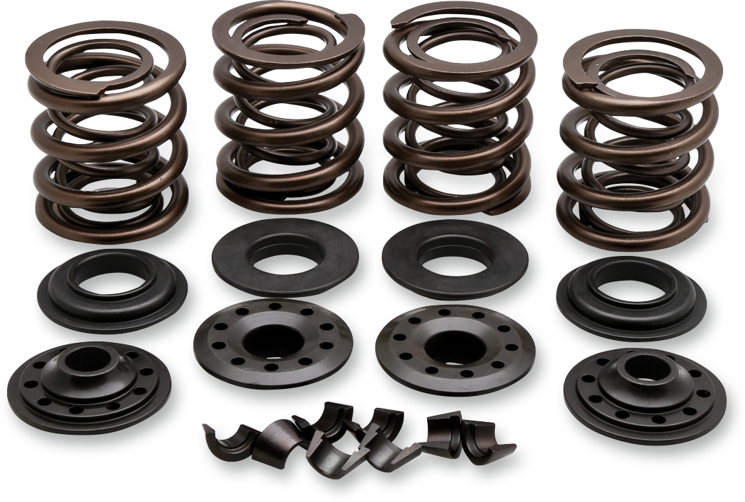 OEM Replacement Valve Spring Kit