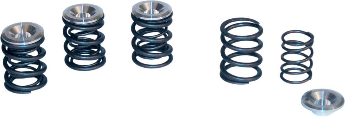 Valve Spring Kit