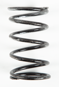 SILVER/BLACK SPRING