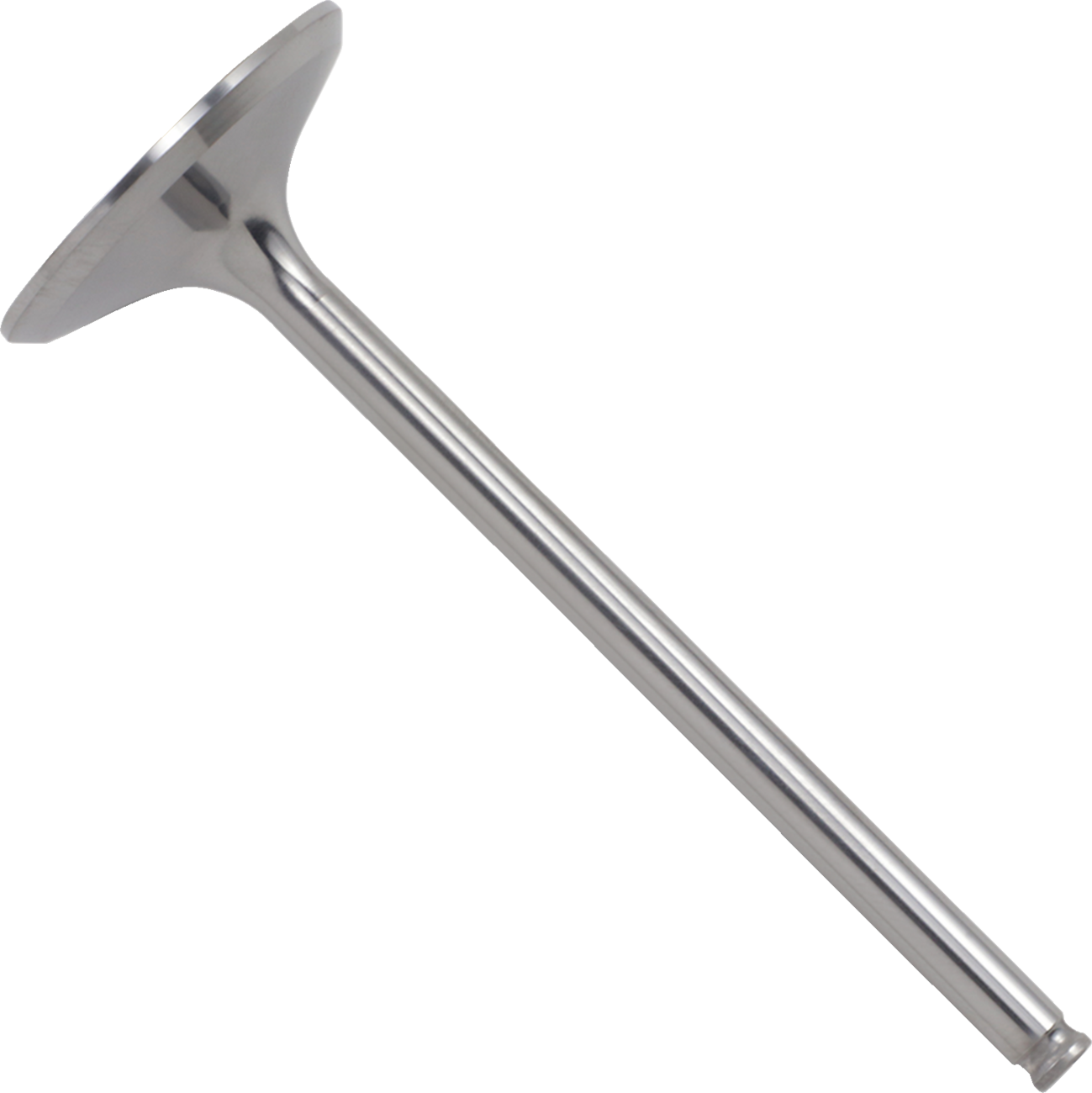 Titanium Engine Valve