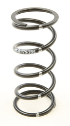H5 Alloy Primary Clutch Spring