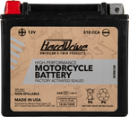 AGM Sealed Battery