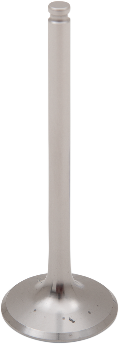 Titanium Engine Valve