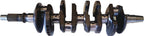 Crankshaft Assembly