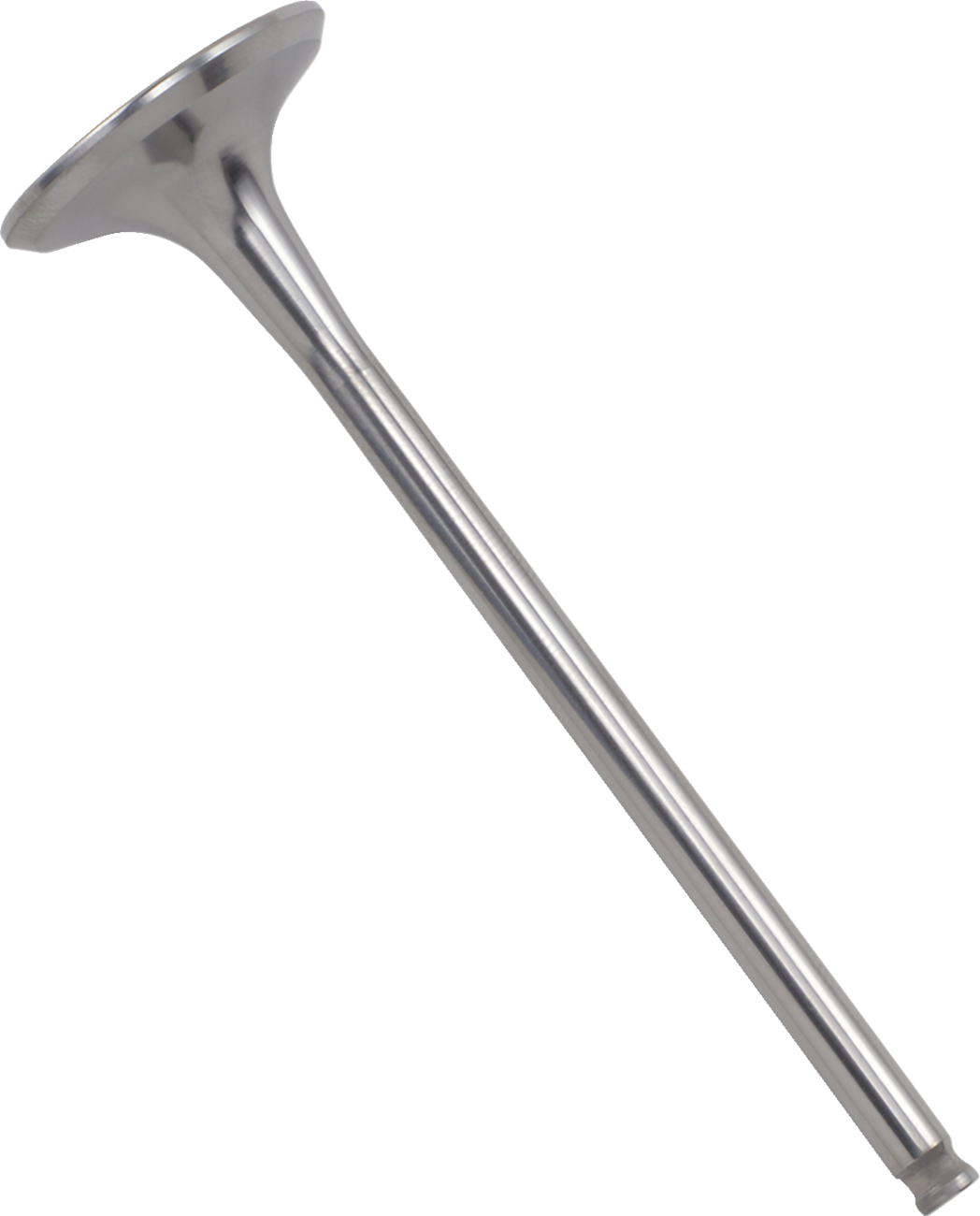 Titanium Engine Valve