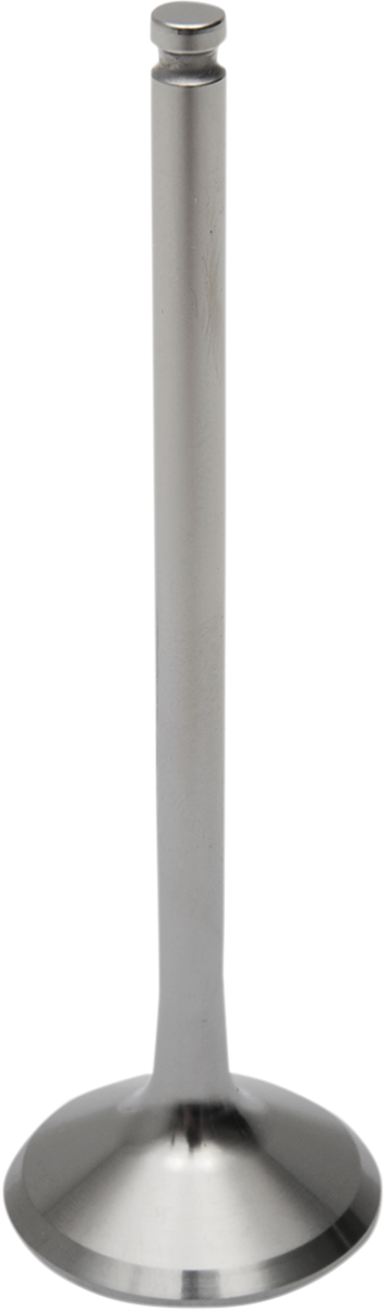 Titanium Engine Valve