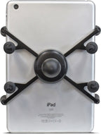 Mount Cradle