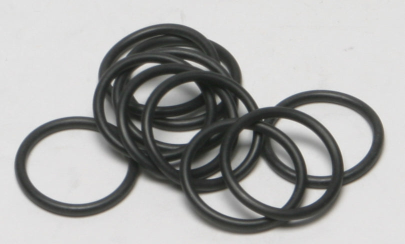 Evo O-Ring