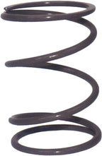 H5 Alloy Primary Clutch Spring