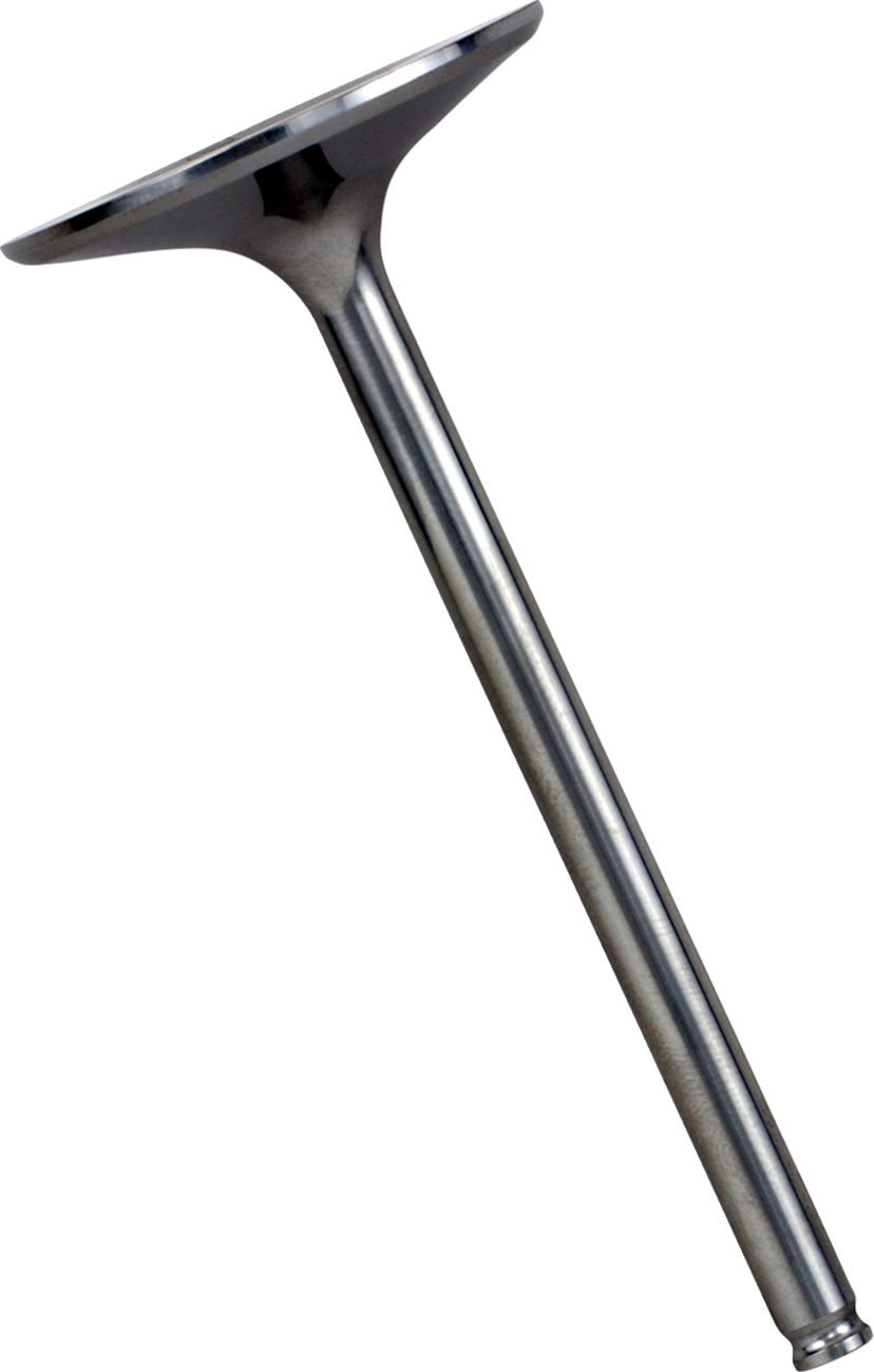 Intake Valve