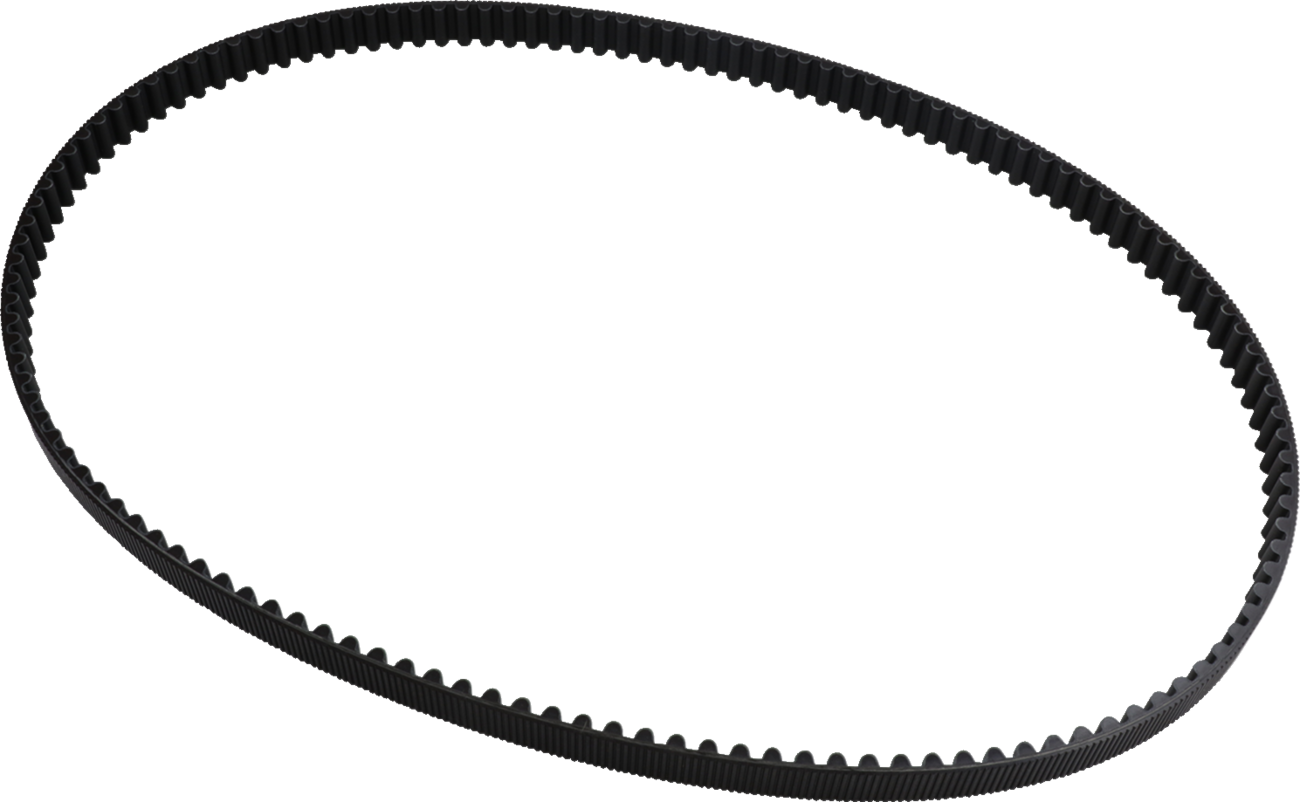 Rear Drive Belt