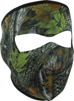Full Face Mask