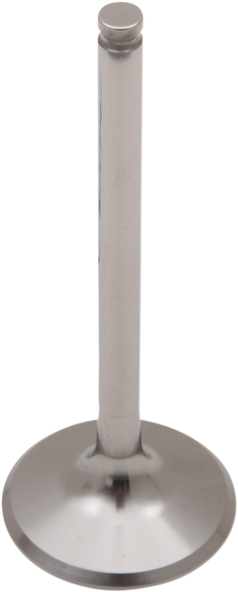 Titanium Engine Valve