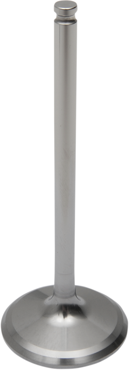 Titanium Engine Valve