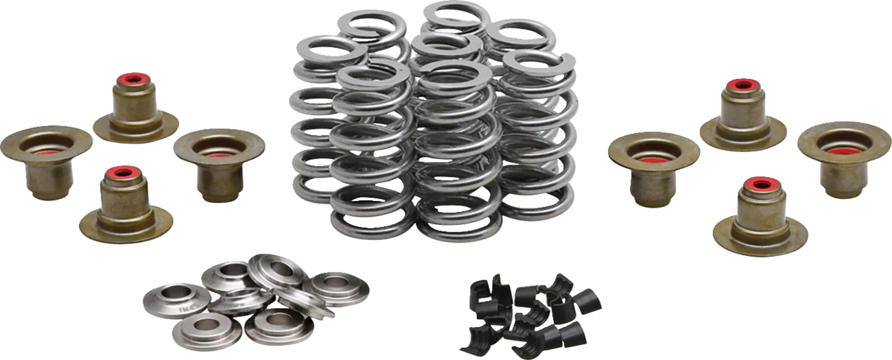 Beehive Valve™ Spring Kit