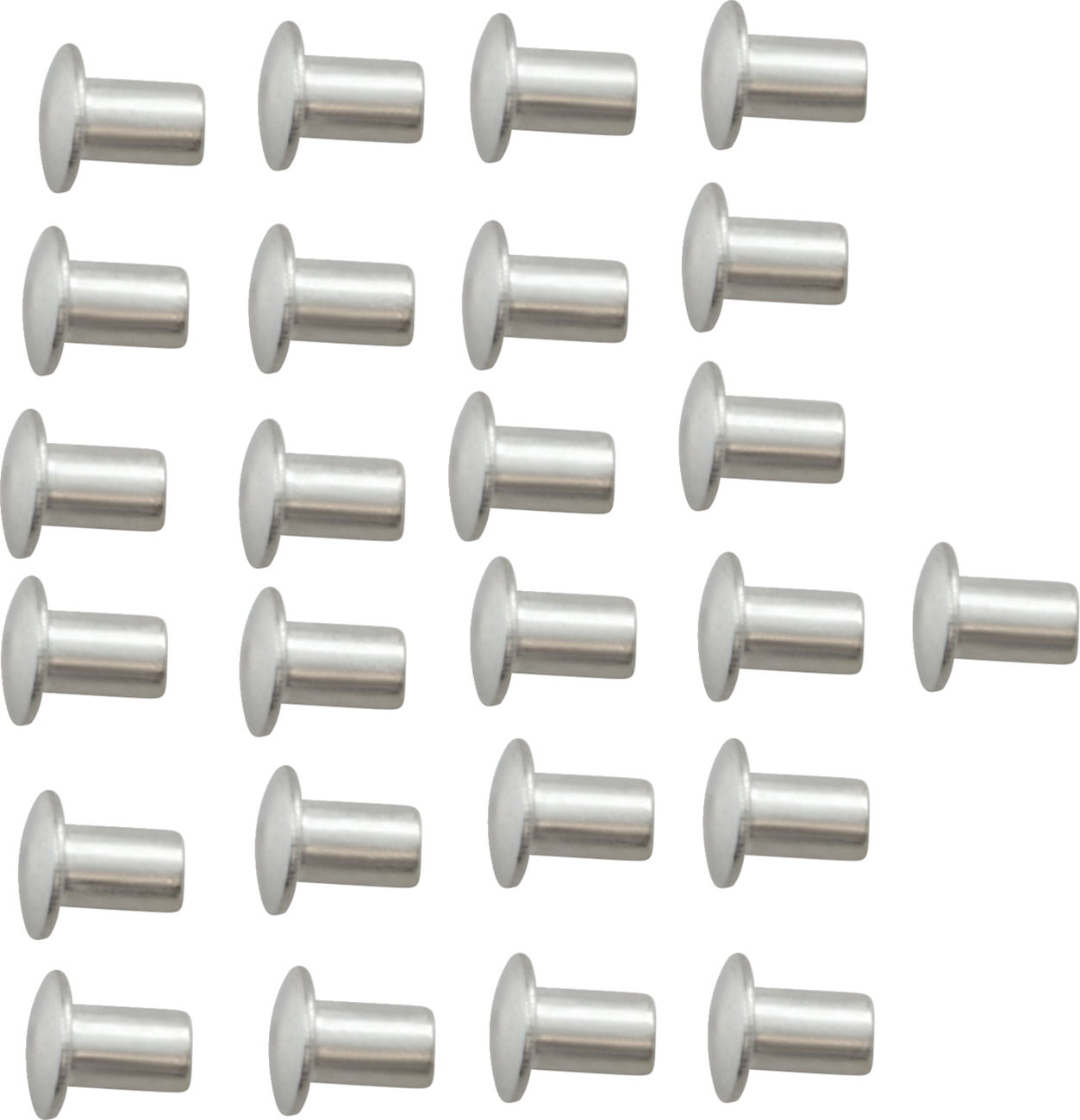 Front Fender Rivets