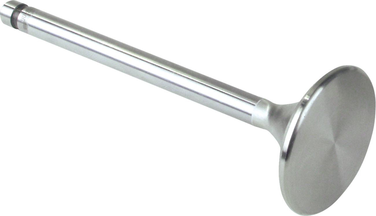 Replacement Stainless Steel Valves for S&S Heads
