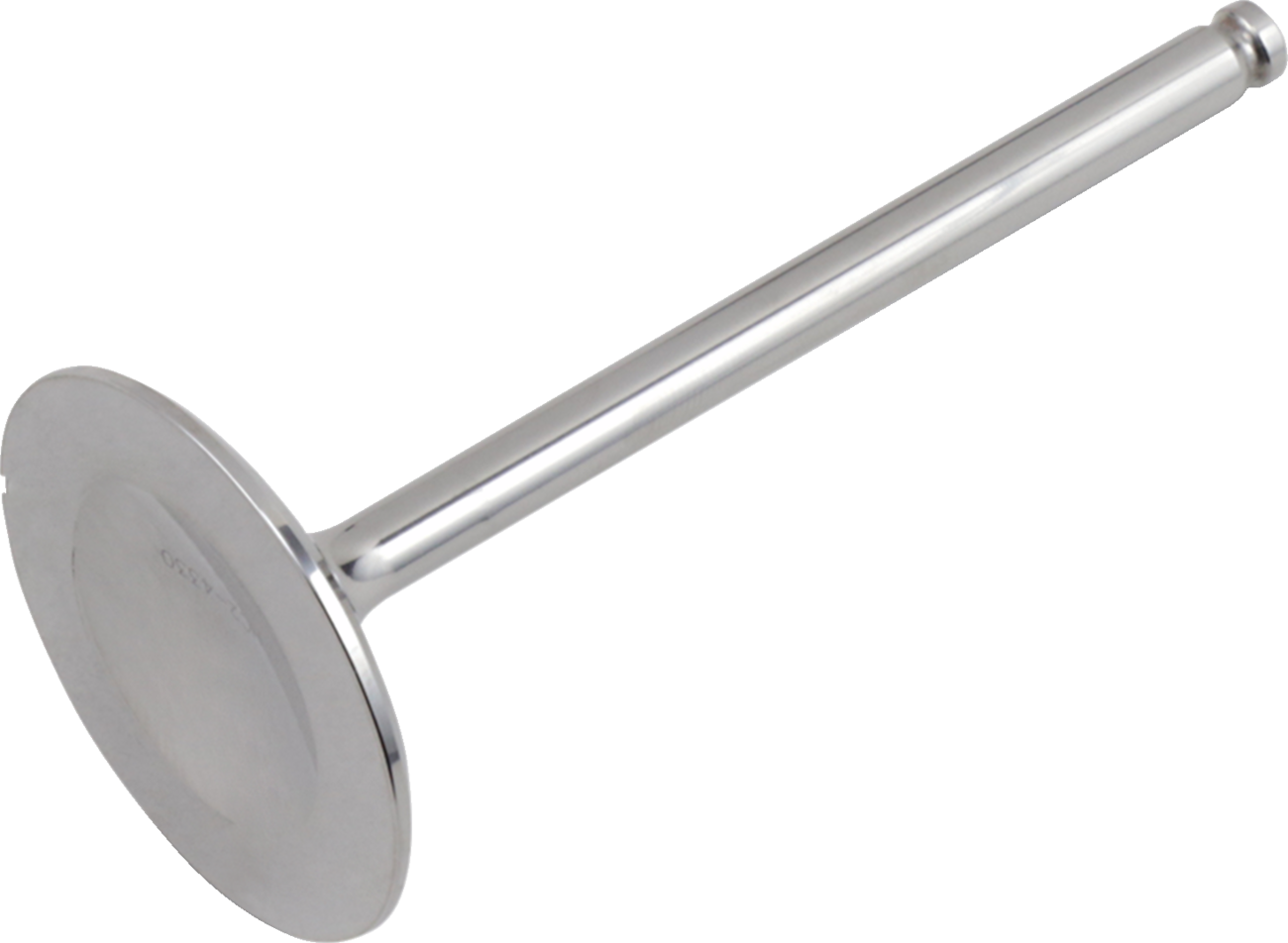 Titanium Engine Valve
