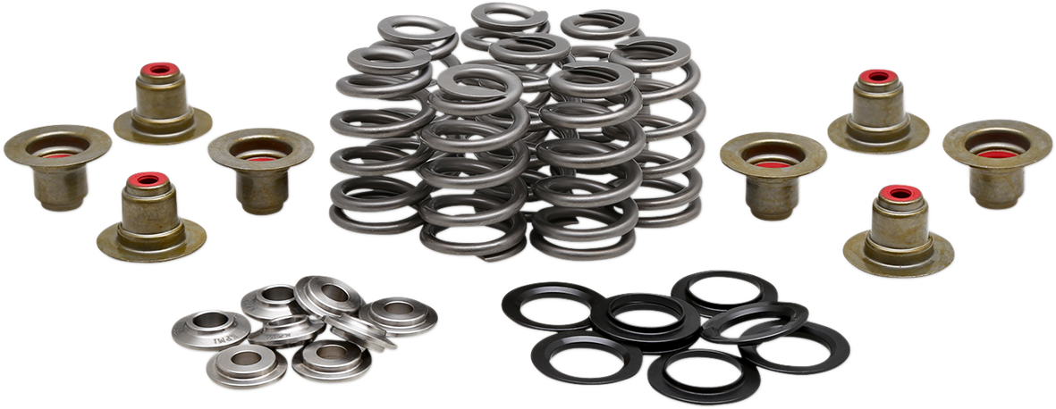 Beehive Valve™ Spring Kit