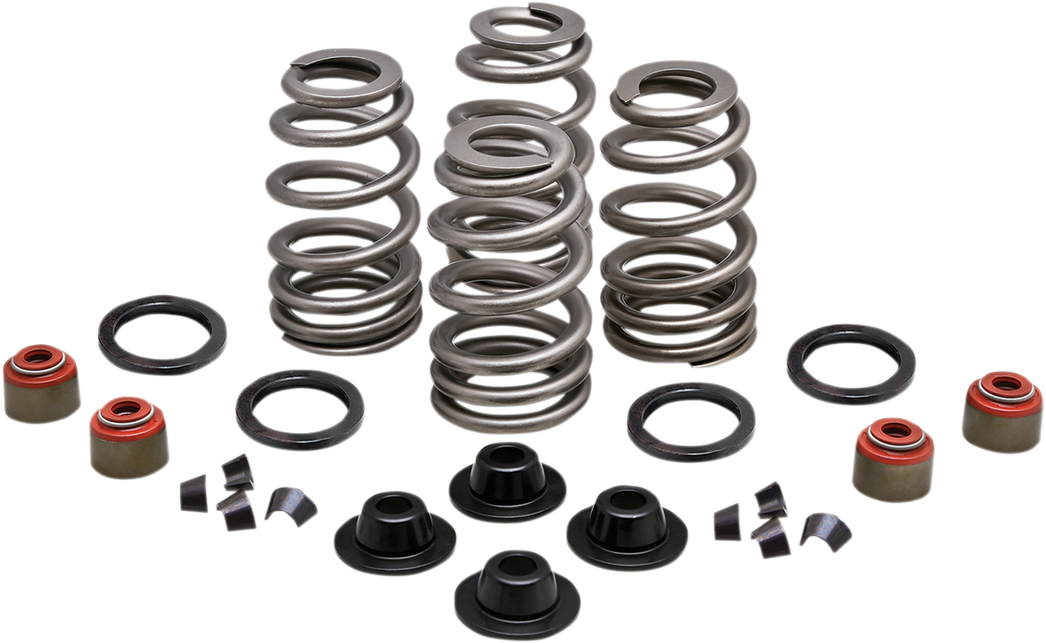 Beehive Valve™ Spring Kit