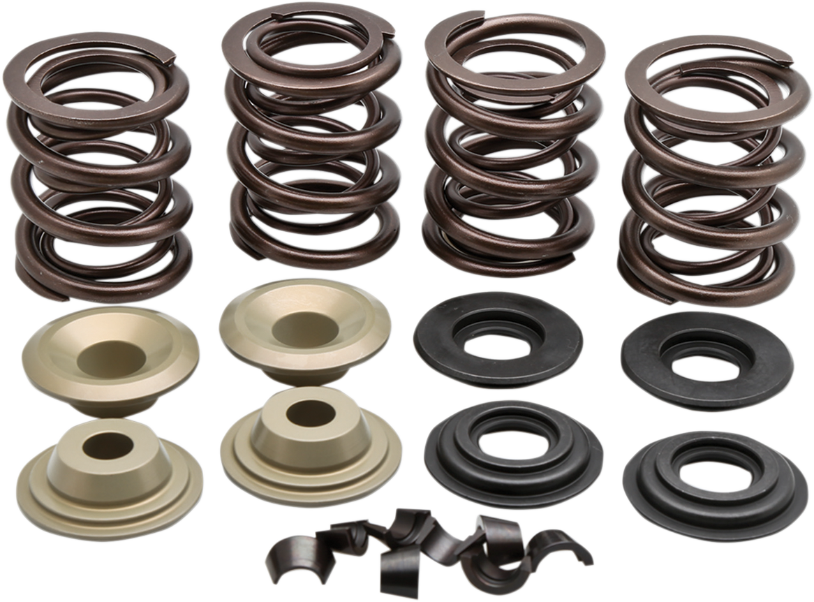 Racing Valve Spring Kit