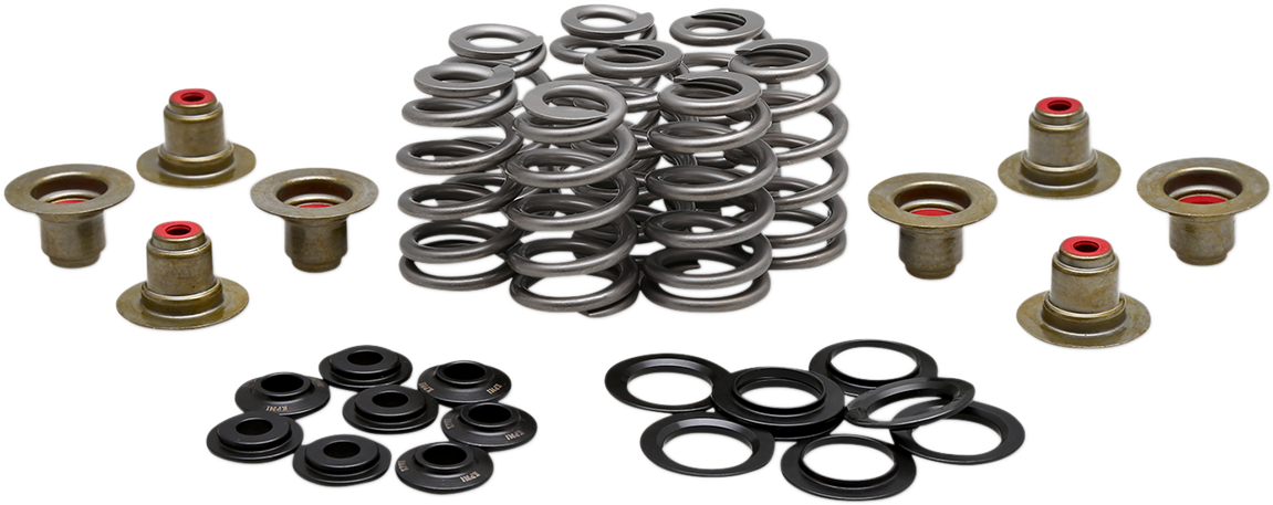 Beehive Valve™ Spring Kit
