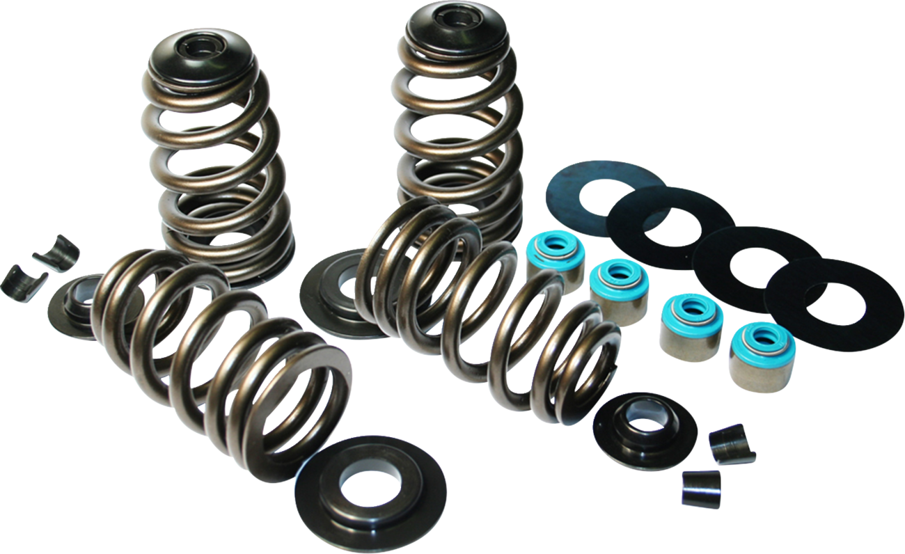Econo Beehive® Valve Spring Kit