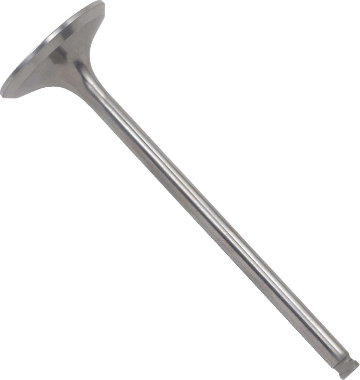 Titanium Engine Valve